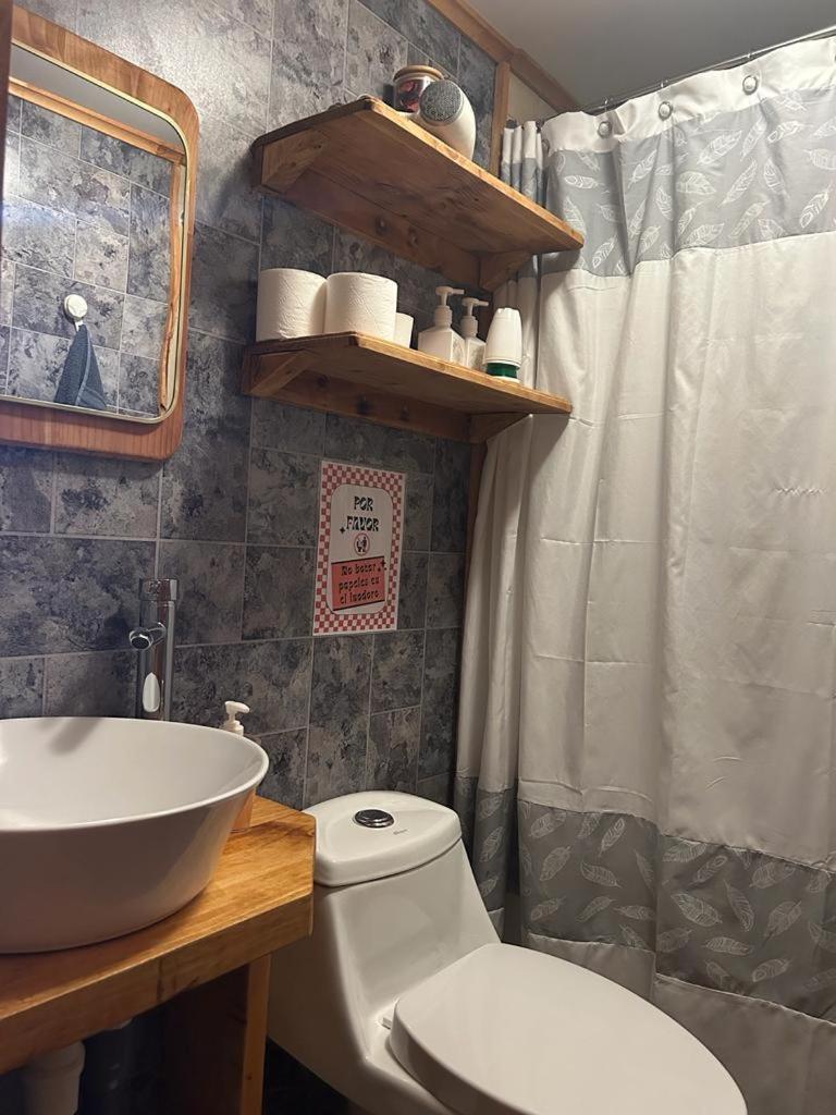 Cabanas El Manzano Coyhaique Dış mekan fotoğraf